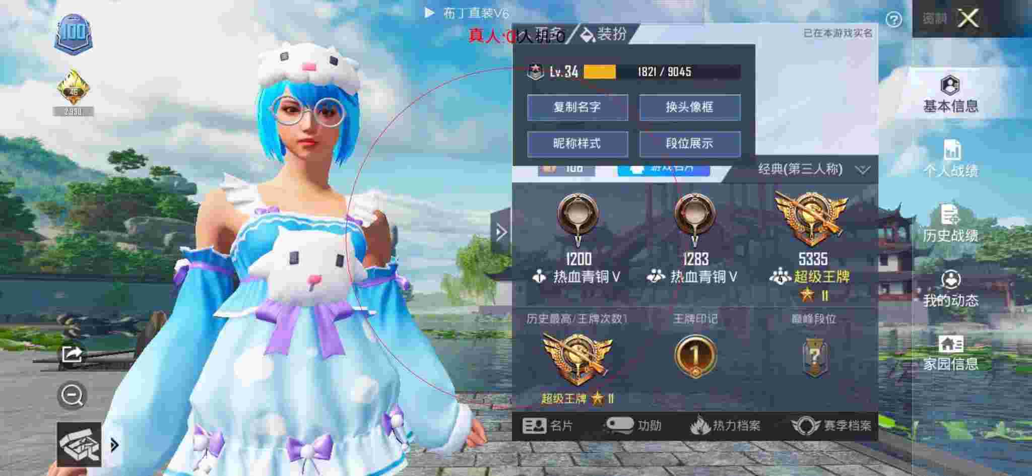 和平精英布丁直装透视 - 和平精英皮肤插件免费下载辅助预览图